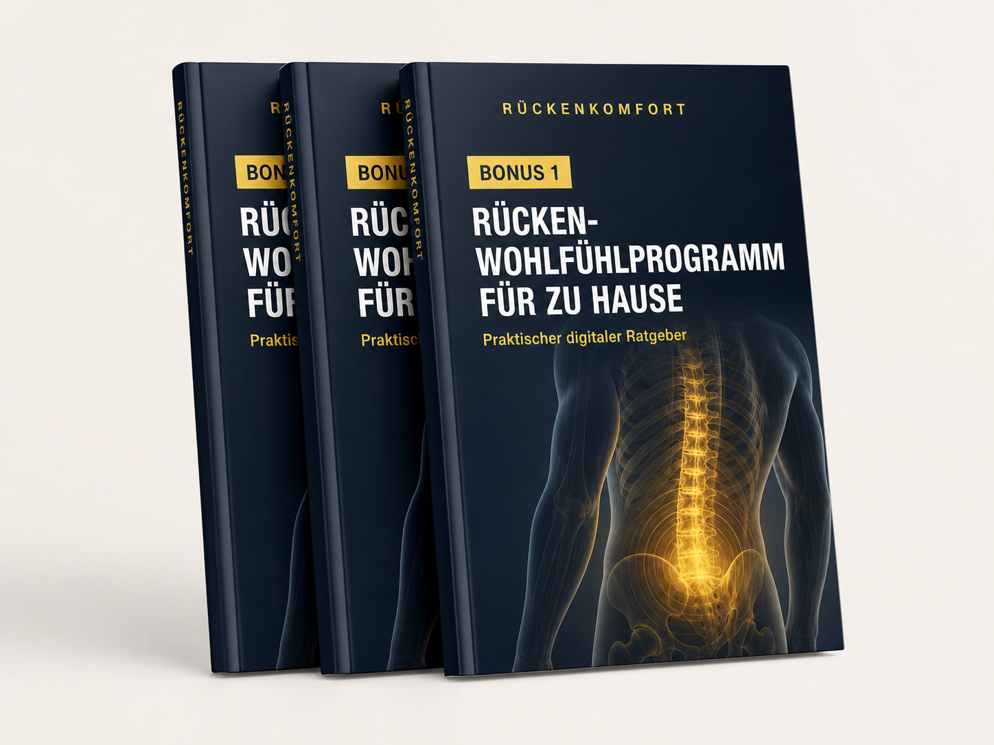 RückenKomfort Rücken-Wohlfühlprogramm für zu Hause